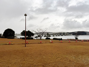 2026-01-11-10.47.jpg