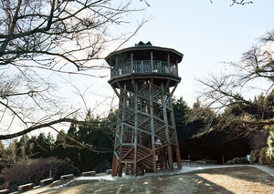 2026-01-25-15.49.jpg