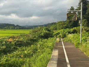 2026-08-10-06.10c.jpg